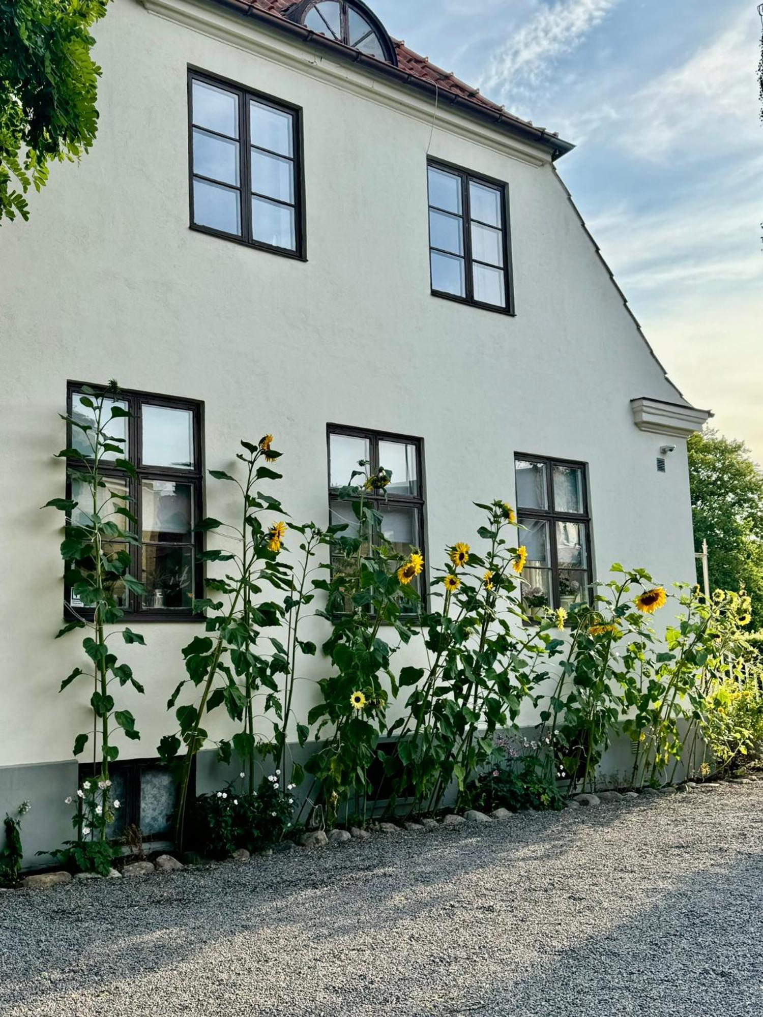 Stf Landskrona Hostel Exterior photo